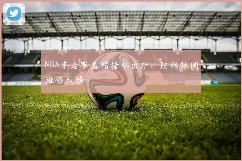 NBA季后赛盖帽榜单出炉，防线铁闸谁领风骚