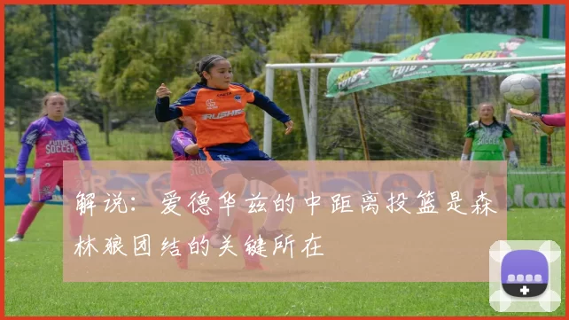 解说：爱德华兹的中距离投篮是森林狼团结的关键所在