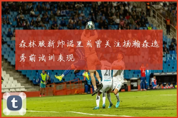 森林狼新帅诺里或曾关注杨瀚森选秀前试训表现