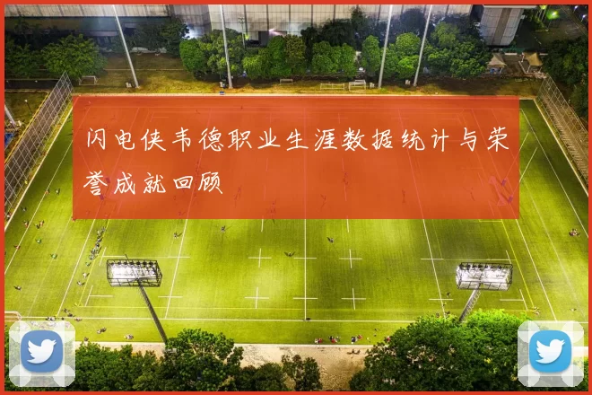 闪电侠韦德职业生涯数据统计与荣誉成就回顾
