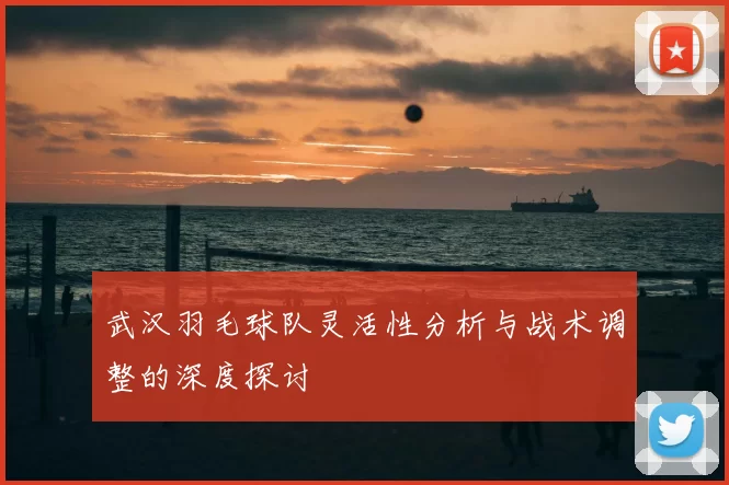 武汉羽毛球队灵活性分析与战术调整的深度探讨