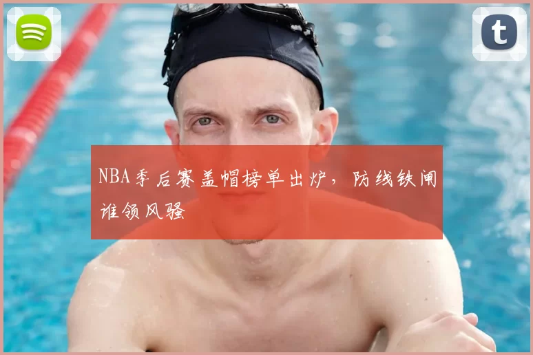 NBA季后赛盖帽榜单出炉，防线铁闸谁领风骚