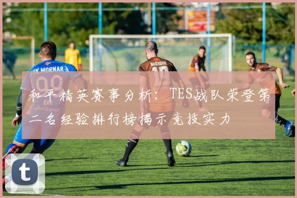 和平精英赛事分析：TES战队荣登第二名经验排行榜揭示竞技实力