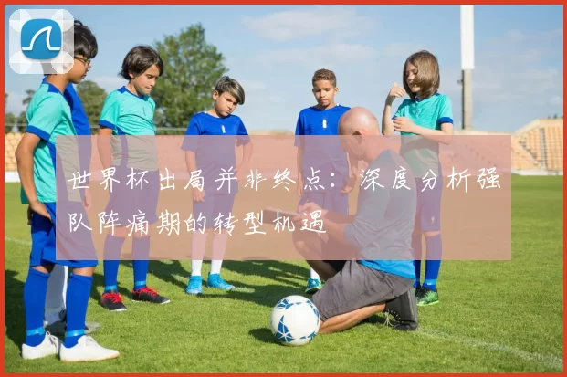 世界杯出局并非终点：深度分析强队阵痛期的转型机遇