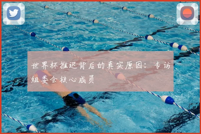 世界杯推迟背后的真实原因：专访组委会核心成员