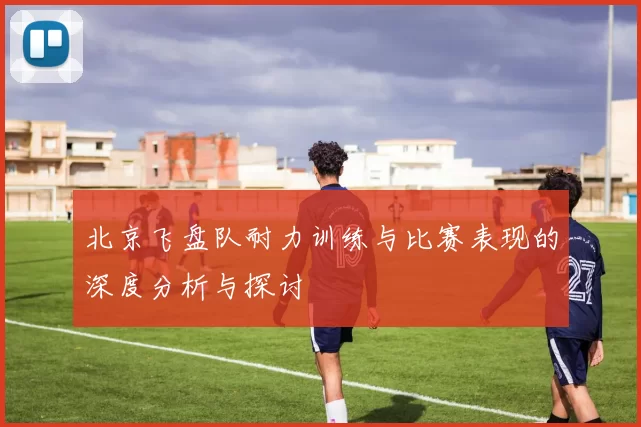 北京飞盘队耐力训练与比赛表现的深度分析与探讨