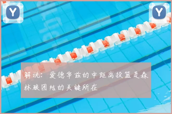 解说:爱德华兹的中距离投篮是森林狼团结的关键所在