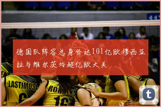 德国队阵容总身价达101亿欧穆西亚拉与维尔茨均超亿欧大关